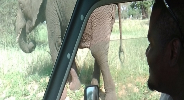 Safari en Tanzanie Excursion d'une journée dans le parc national du Tarangire Tanzanie — #10