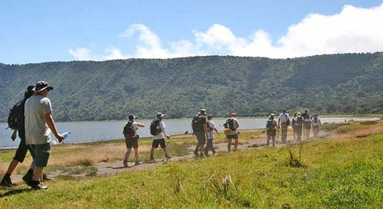 Safari en Tanzanie Excursion d'une journée dans le cratère du Ngorongoro Fournie par Foot On Kili Tanzania Adventure