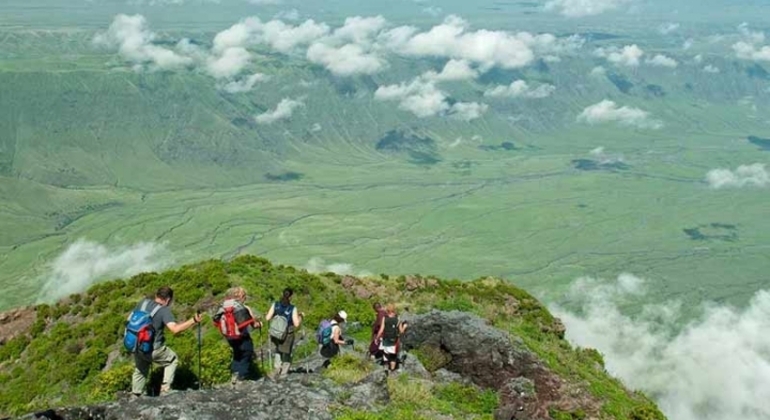 Tansania Safari Ngorongoro Krater Tagesausflug Tansania — #4