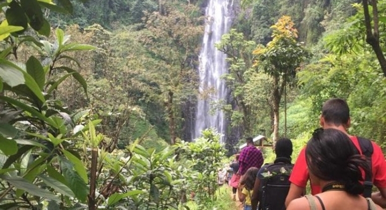 Explorar las cataratas de Moshi Materuni Tanzania — #2