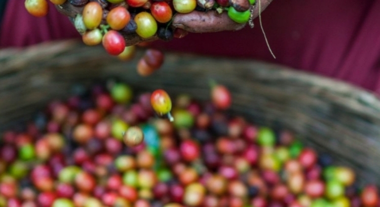 Explorar las cataratas de Moshi Materuni Tanzania — #6