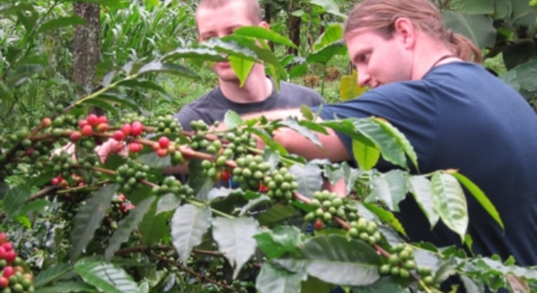 Explorar las cataratas de Moshi Materuni Tanzania — #8