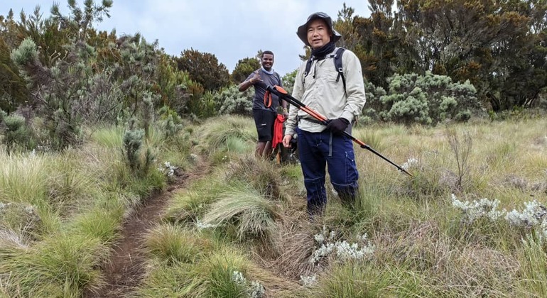 Teste do Monte Kilimanjaro Rota Marangu 2 dias Tanzânia — #3