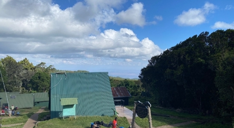 Teste do Monte Kilimanjaro Rota Marangu 2 dias Tanzânia — #8