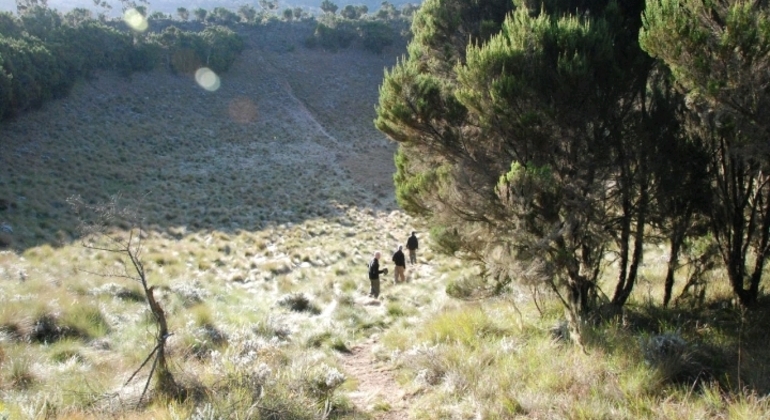Teste do Monte Kilimanjaro Rota Marangu 2 dias Tanzânia — #15