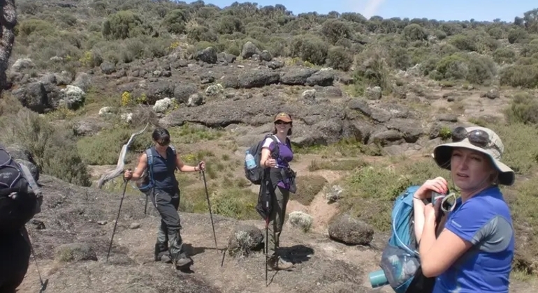 Kilimanjaro Erfahrung: Shira Route 4 Tage Bereitgestellt von Foot On Kili Tanzania Adventure