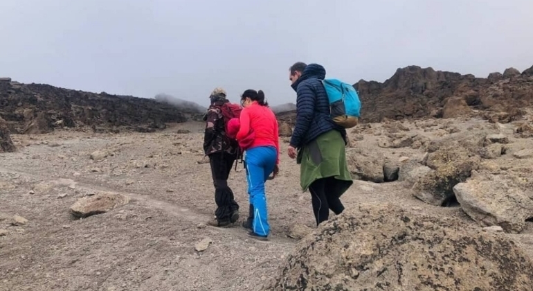 Expérience du Kilimandjaro : Route du Lemosho quatre jours Tanzanie — #2