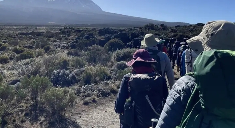 Expérience du Kilimandjaro : Route du Lemosho quatre jours Tanzanie — #3