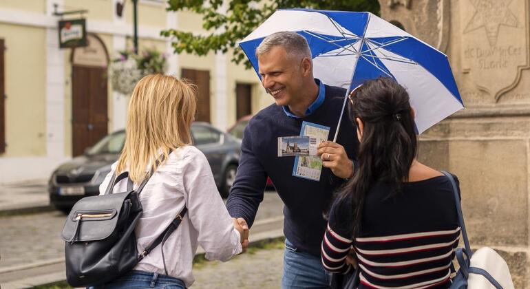 Biglietto "salta fila" per il Castello di Praga con audioguida interna Repubblica Ceca — #1