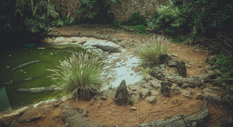 Recorrido gratuito por la naturaleza y los animales