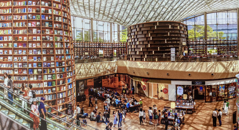 Free Tour of Gangnam in Seoul