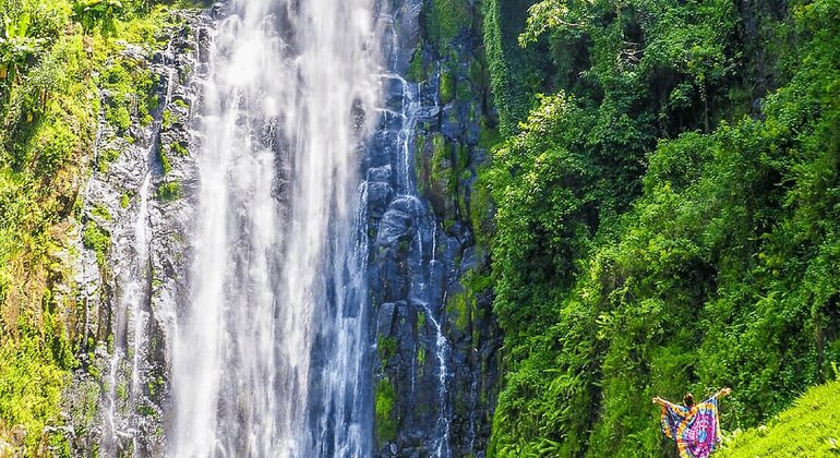 Materuni Waterfalls, Coffee Tour & Kikuletwa Hot Springs