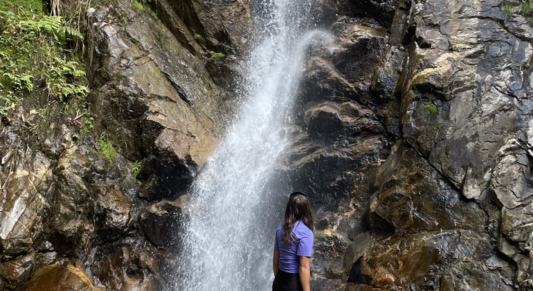 Hike to Angel Falls Colombia — #1