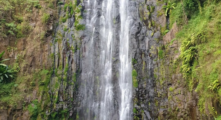Materuni Waterfall, Coffee Tour & Kikuletwa Hot Springs