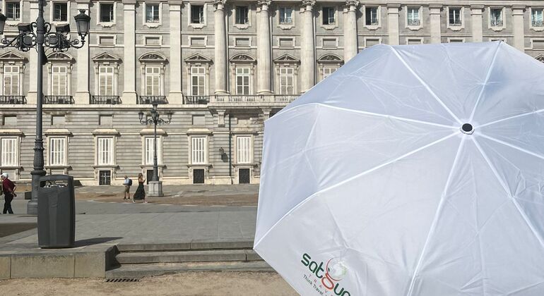 VIP Tour of Madrid’s Royal Palace: Skip the Line Provided by Satguru Travel