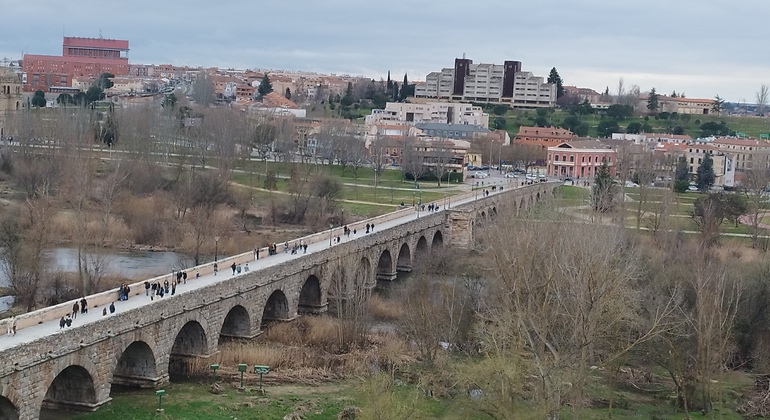 Private Tour - Indispensable Salamanca Spain &mdash; #3