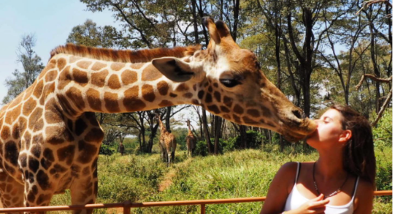 Journey with Giraffes: Nairobi's Most Enchanting Free Walking Tour Provided by Ismael nzioka