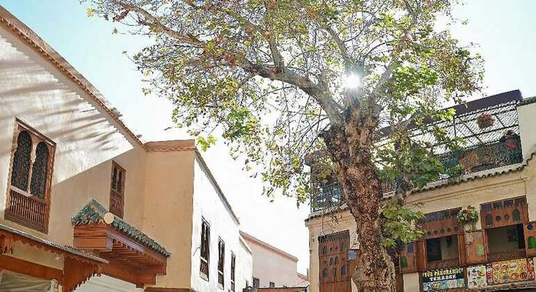 Visite privée : Artisanat et monuments historiques à Fès Maroc &mdash; #5