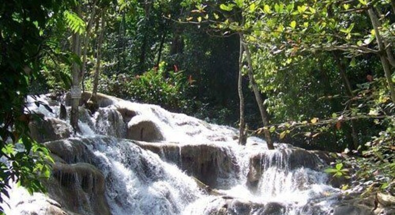 Aufstieg zum Dunns River Wasserfall Bereitgestellt von Travel Jamaica Trips