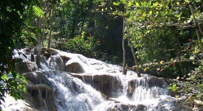 Subida à cascata do rio Dunns, Jamaica