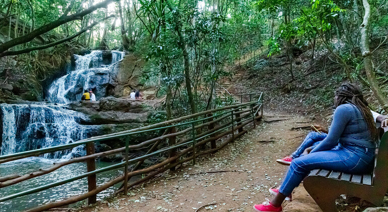 Recorrido gratuito por la naturaleza y la vida salvaje del bosque/cascada Ubern de Nairobi Kenia — #2