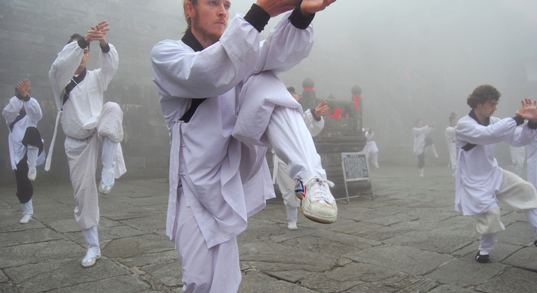 Pekín Tour Privado de un Día de Kung Fu Operado por San Feng