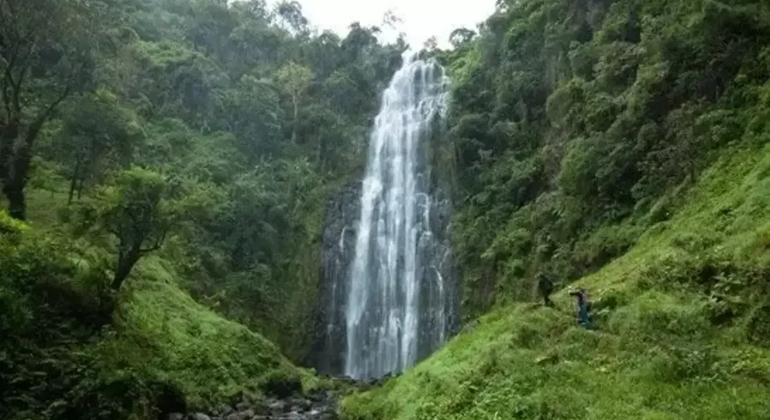Materuni Waterfalls Day trip Tanzania — #1