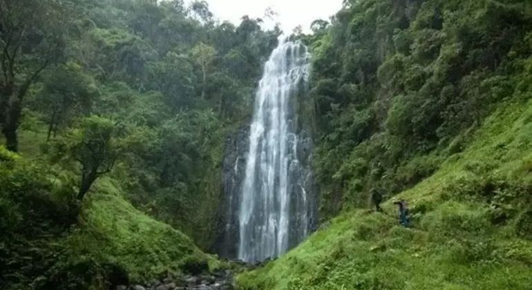 Excursion d'une journée aux chutes d'eau de Materuni Fournie par Samson Simon