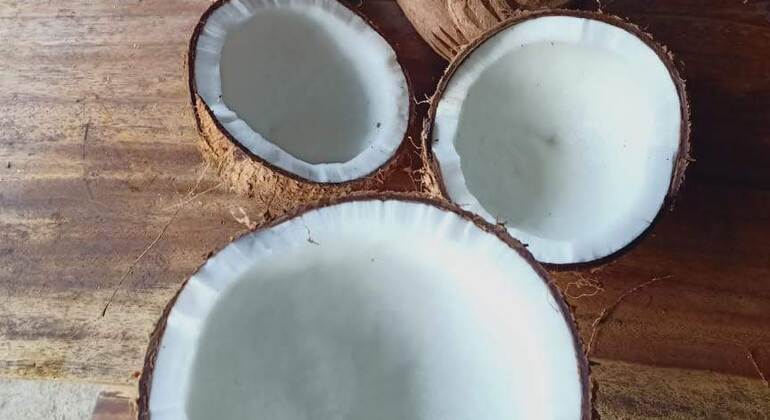 Elaborar aceite de coco tradicional de Bali con una familia balinesa, Indonesia