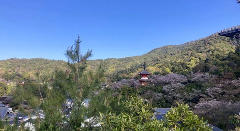Hiroshima y Miyajima: Excursión de día completo Japón &mdash; #10