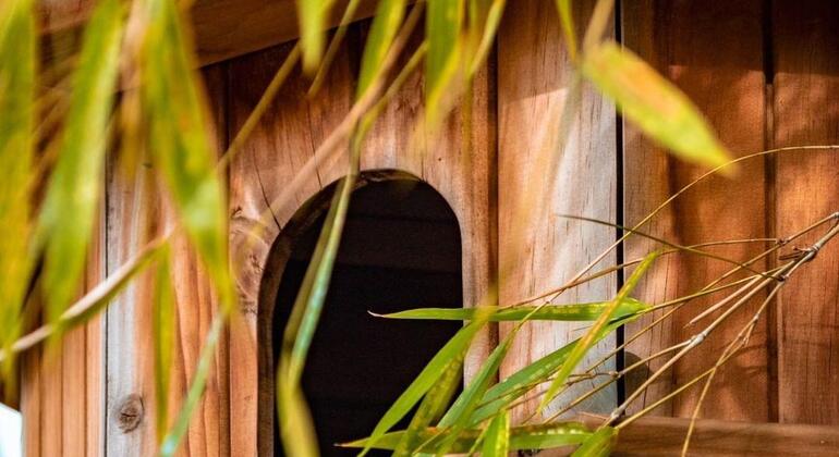 El famoso recorrido gratuito por el centro de Medellín Colombia — #10