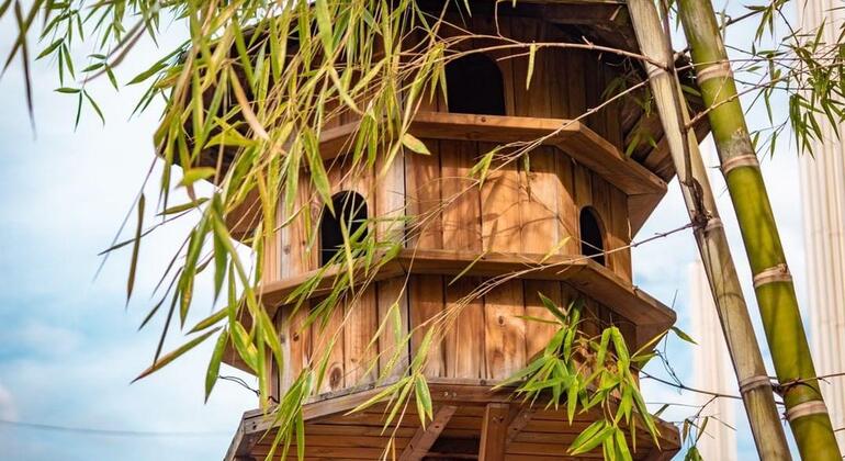 El famoso recorrido gratuito por el centro de Medellín Colombia — #14