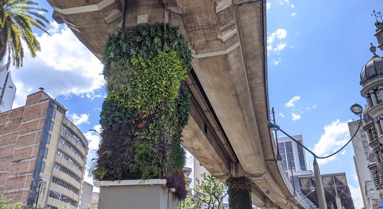 El famoso recorrido gratuito por el centro de Medellín Colombia — #18