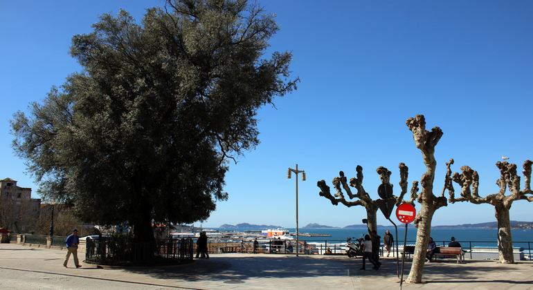 Visita libera a Vigo Fornito da We Galicia