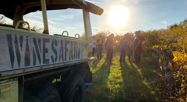 Tour Safari del vino Fornito da Tripito