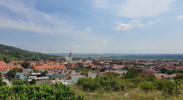 Weinsafari-Tour in Bratislava Slowakei — #3