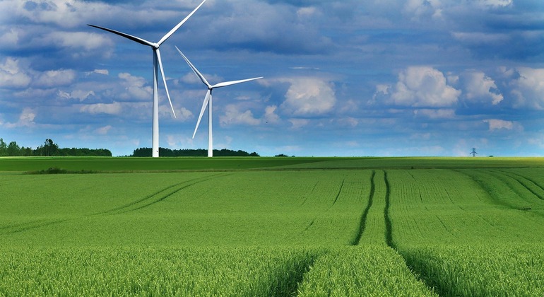 Visita guidata alle turbine eoliche  Fornito da Tripito