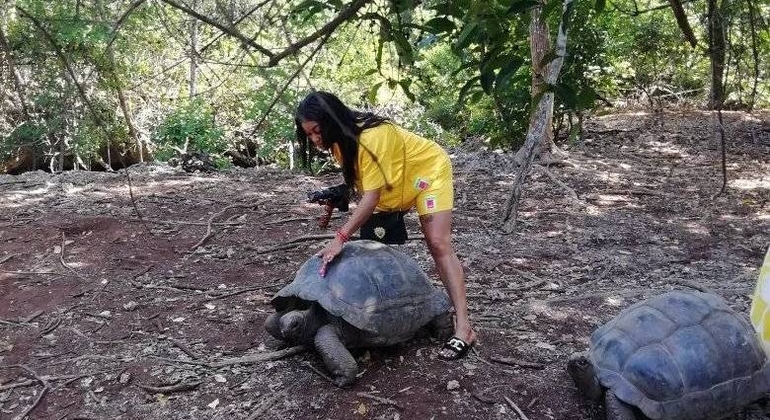 Visita à ilha-prisão