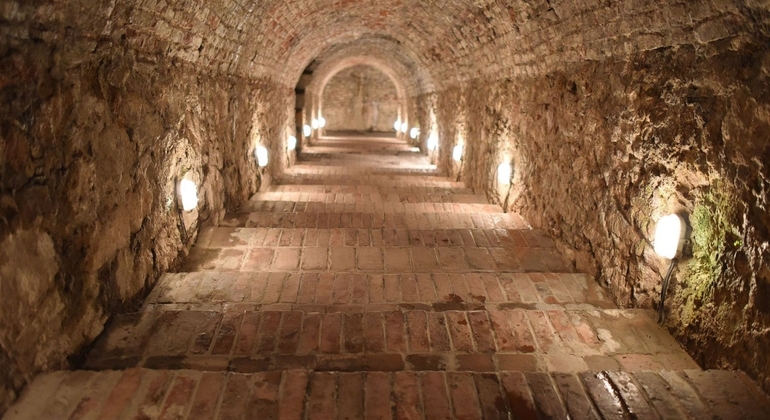 I tesori della regione di Bratislava Slovacchia — #4