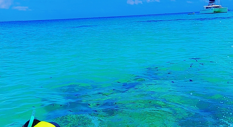 Mnemba Island Tour Tanzania &mdash; #9