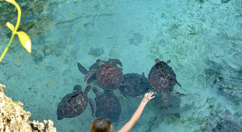 Tour dell'acquario di Baraka