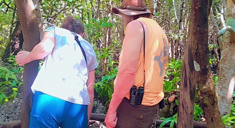 Visite du parc national de la forêt de Jozani Tanzanie &mdash; #3