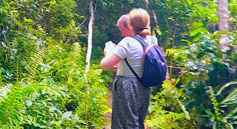 Visite du parc national de la forêt de Jozani Tanzanie &mdash; #4