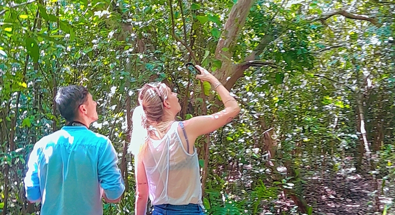 Visite du parc national de la forêt de Jozani Tanzanie &mdash; #5
