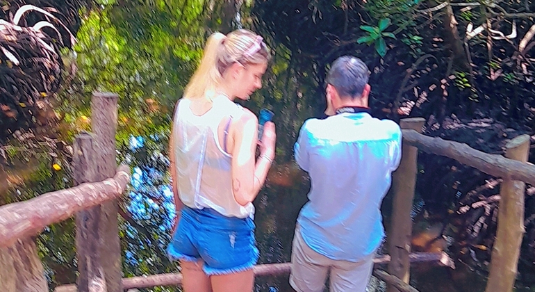 Visite du parc national de la forêt de Jozani Tanzanie &mdash; #6