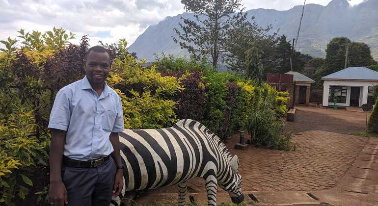 Ein Spaziergang in Nairobi Stadt Kenia — #2