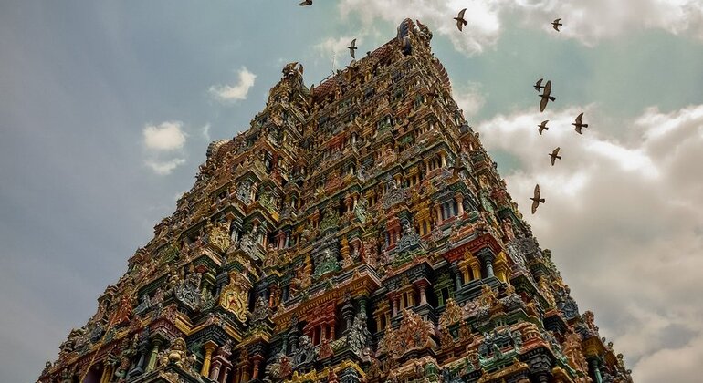 Walking Tour of Majestic Meenakshi Temple Provided by Dhanabalan Perumal 