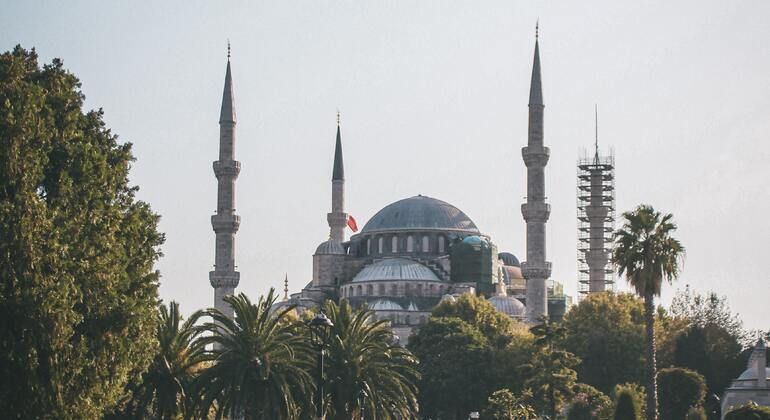 Off the Beaten Path Istanbul: A Free Walking Tour  - Small Groups