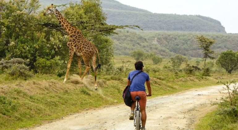 Journée complète au lac Naivasha et à Hells Gate