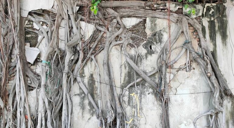 Tutto su China Town con una guida locale Tailandia — #7